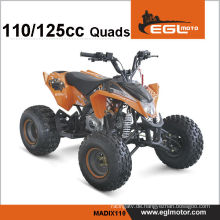 125cc Motor Benzin ATV mit CE